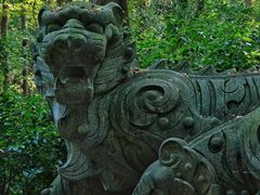 -虎跑公园