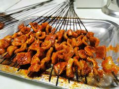 -尕胡才炕锅烤羊肉馆(八一路店)