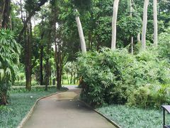 -南宁南湖公园