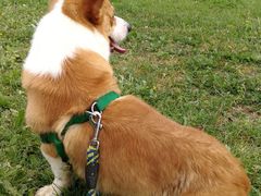 -玉渡山风景区-售票处