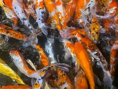 -海合安青岛极地海洋公园