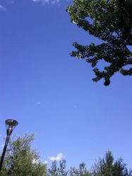 点击看大图 android_upload_pic-大望京儿童游乐场