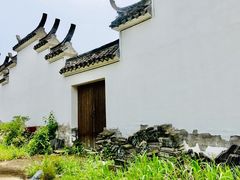 -上海海湾国家森林公园