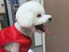 -派特宠物医院(圆融广场店)