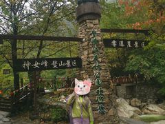 -青峰峡国家森林公园