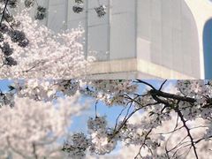 -龙美术馆(西岸馆)