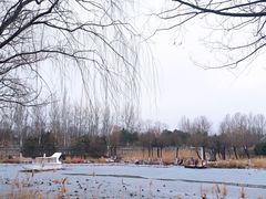 -稻香湖景欢乐岛温泉城堡