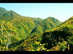 -白草畔自然风景区