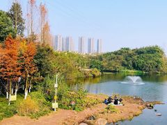 -重庆彩云湖湿地公园