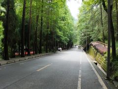 -青城山