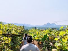 -大泽山风景名胜区