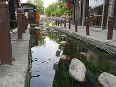 -茯茶镇