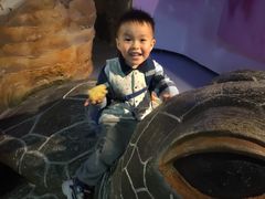 -福州罗源湾海洋世界旅游区