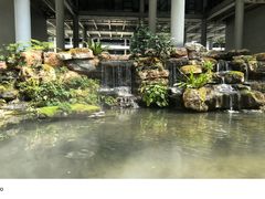 -华大咖啡(华大时空中心店)