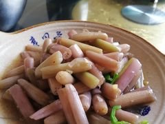 -龙小海荆沙鸽子店(瑞安街店)