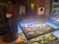 -青木造型HAIR·あおき髪を刈る潮人店