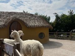 -珠海海泉湾神秘岛亲子乐园