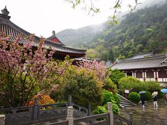 -华清宫景区