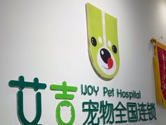 -艾吉宠物医院·疑难杂症转诊中心·猫友好(碧江路院)