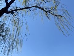-新江湾城公园