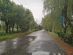 -菊园百果园