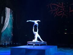 -珠海横琴长隆《卡卡虎奇遇记》