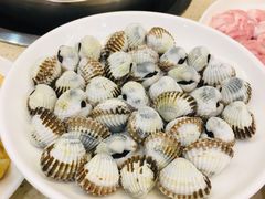 血蛤-多迷烫菜广场(水心大厦店)