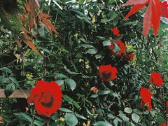 -馥家小馆(黔灵山公园店)