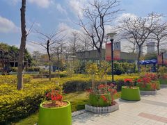 -南方医科大学深圳医院