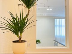 -龙湖西安曲江天街