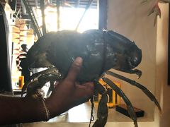 -Ministry of Crab(科伦坡店)