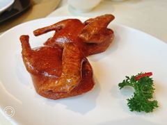 -利苑酒家(金宝店)