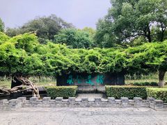 -红梅公园