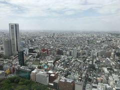 -东京都厅舍