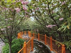 -太阳宫公园