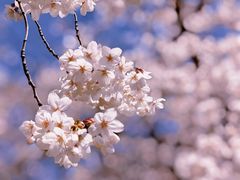 -龙美术馆(西岸馆)