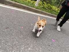 -火炉山森林公园