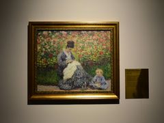 -印象莫奈时光映迹艺术展