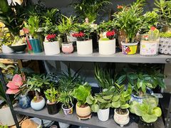 -何兮花店·气球派对鲜花店(马桥银春路万科城店)