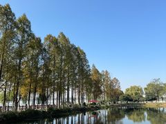 -金银湖国家城市湿地公园