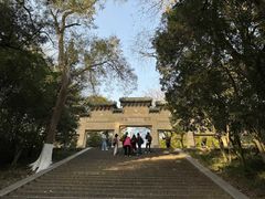 -灵谷景区