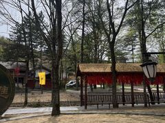 -洛阳白云山景区