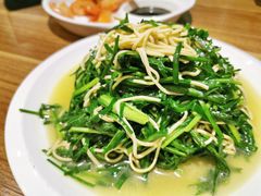 田间时蔬-我家农庄