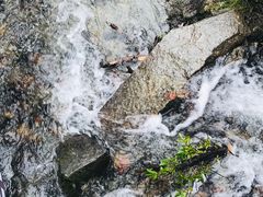 -海螺沟风景区