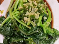 广东菜心-澳门陈光记烧味饭店(郎家园店)