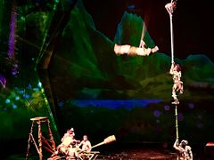 -重庆国际马戏城