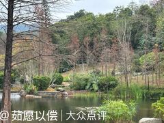 -云溪植物园
