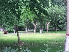 -裕华世纪公园