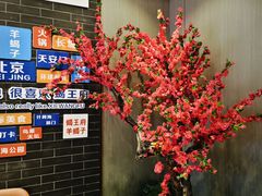 -蝎王府羊蝎子(虎坊桥总店)