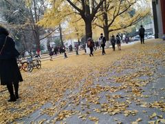 -四川大学(华西校区)